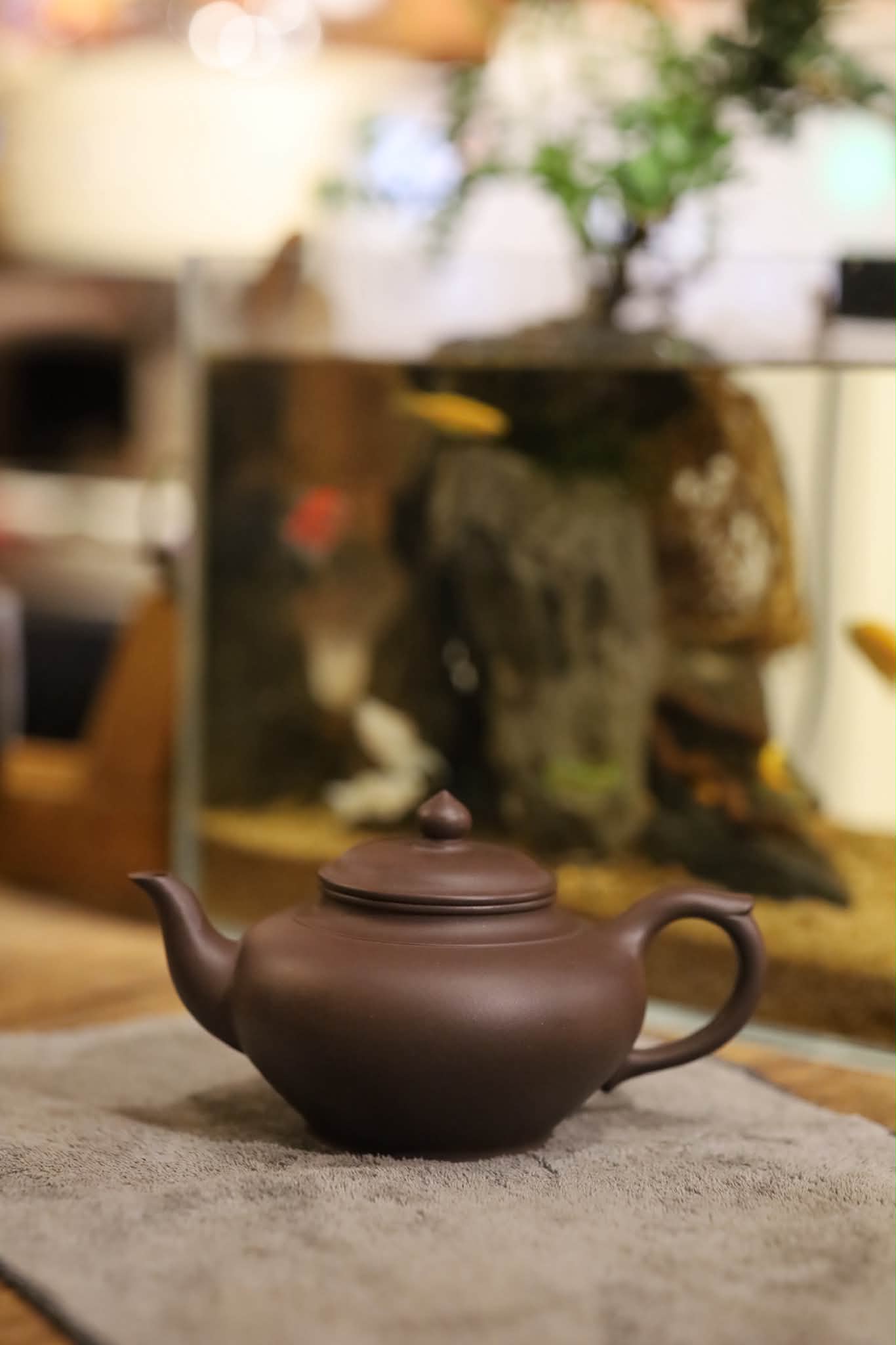 Ấm Tiếu Anh Hồ