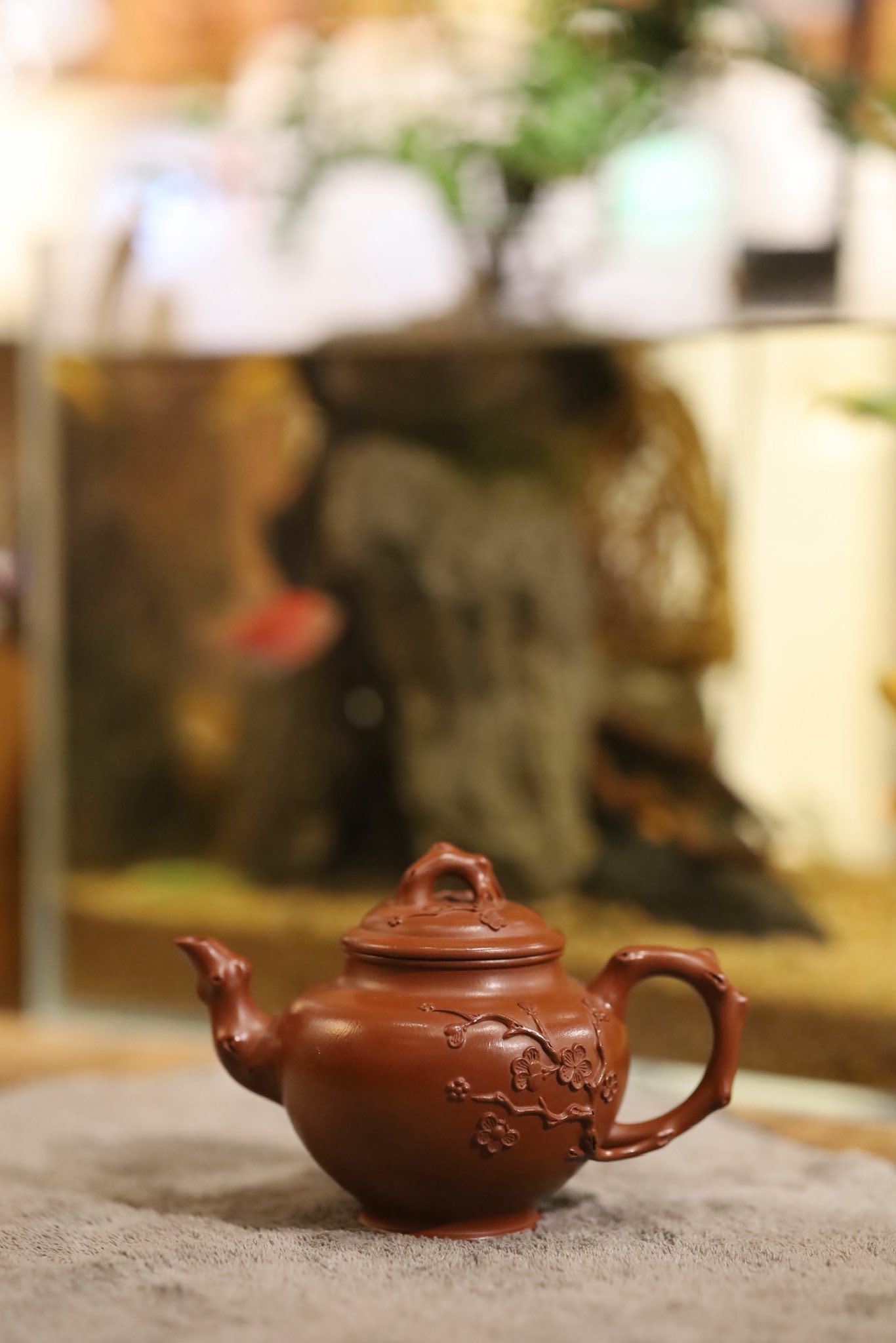 Ấm Báo Xuân Mai Hồ