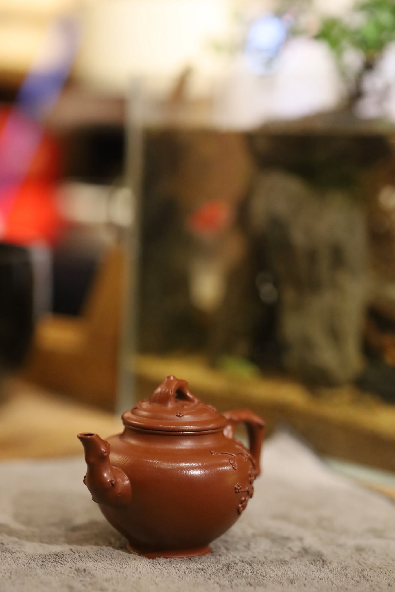 Ấm Báo Xuân Mai Hồ 2
