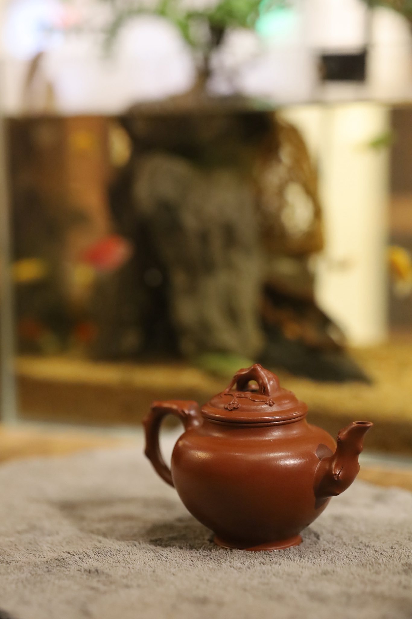 Ấm Báo Xuân Mai Hồ 3