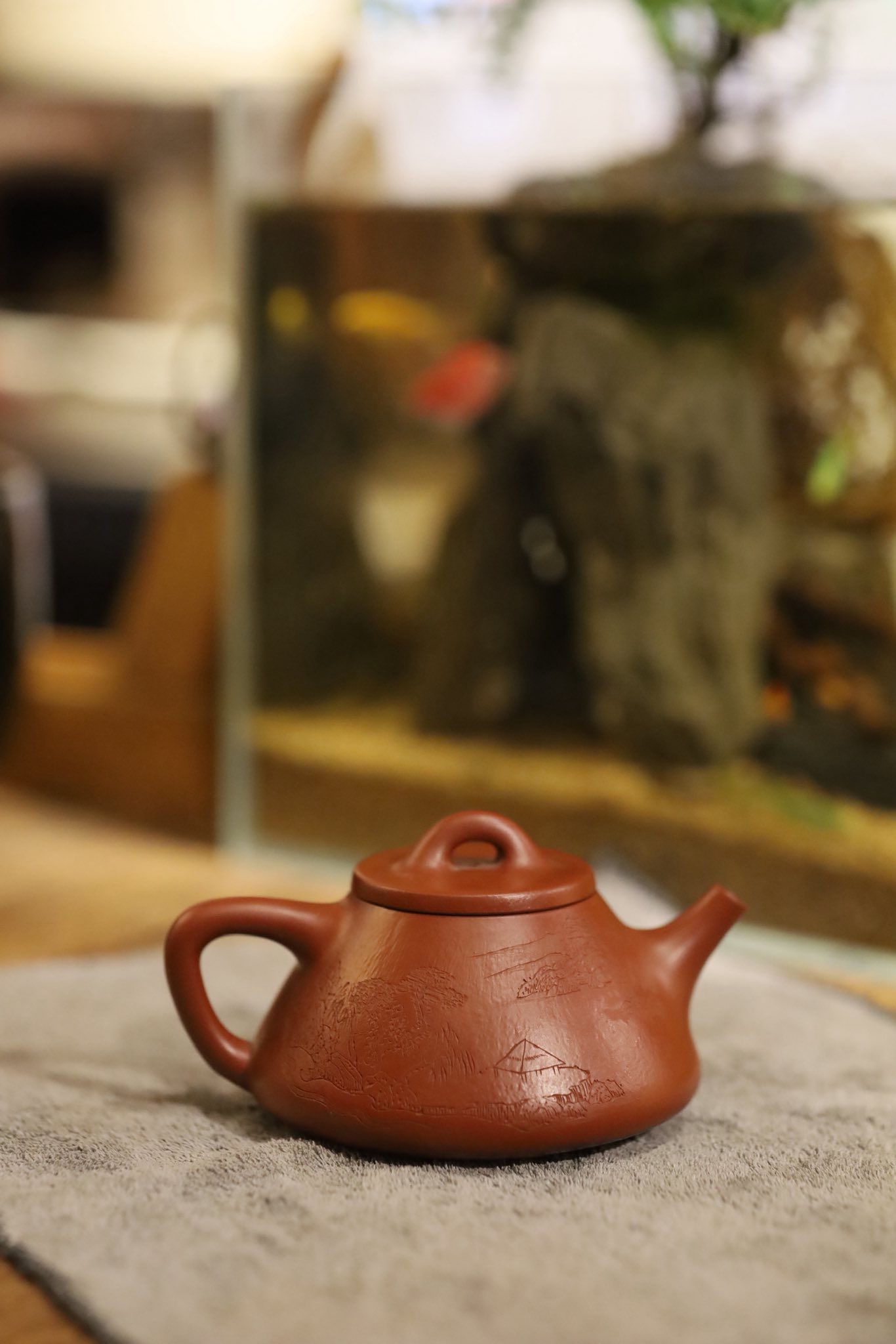 Ấm Thạch Biểu Tự Dã · tinh tuyển chu nê 4