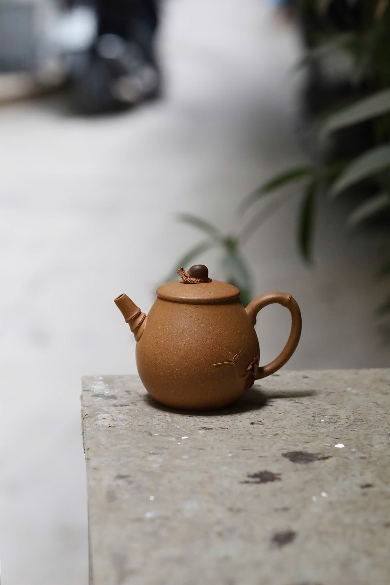 Ấm Tử Sa · lão đoàn