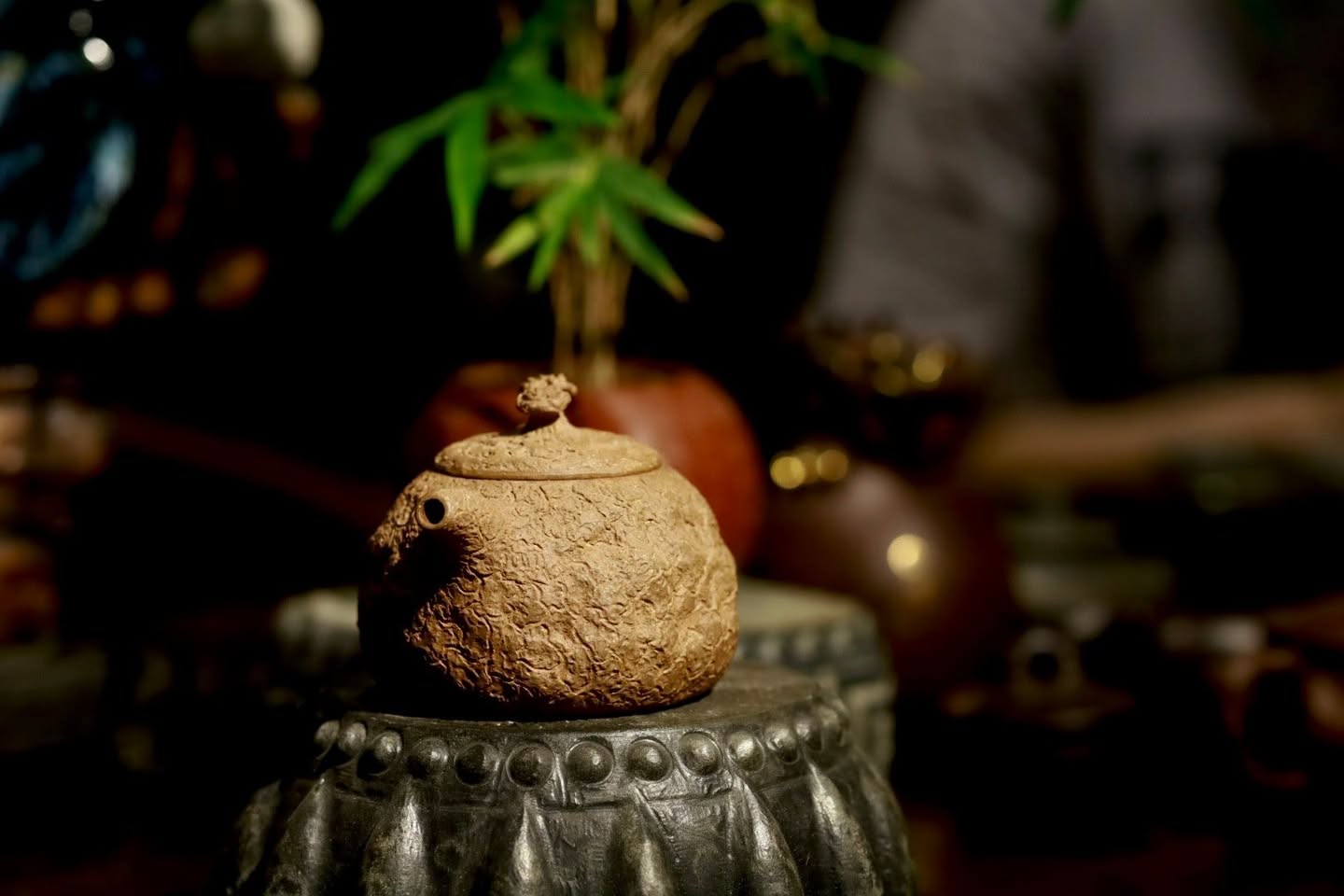 Ấm Cung Xuân Hồ · lão đoàn nê 5