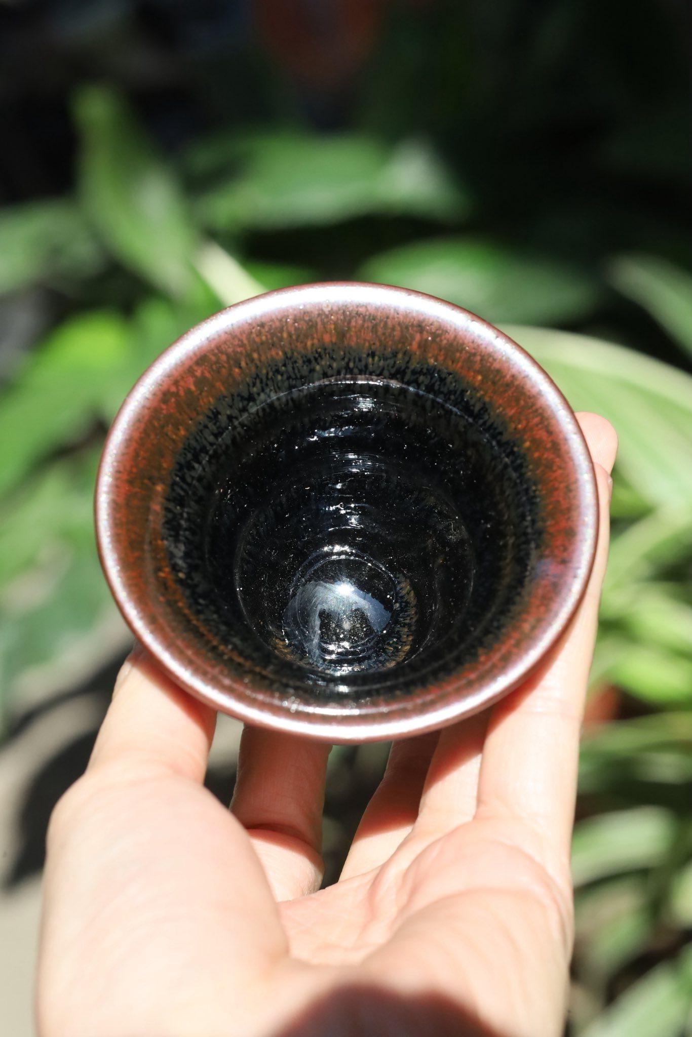 Ấm Tử Sa 5