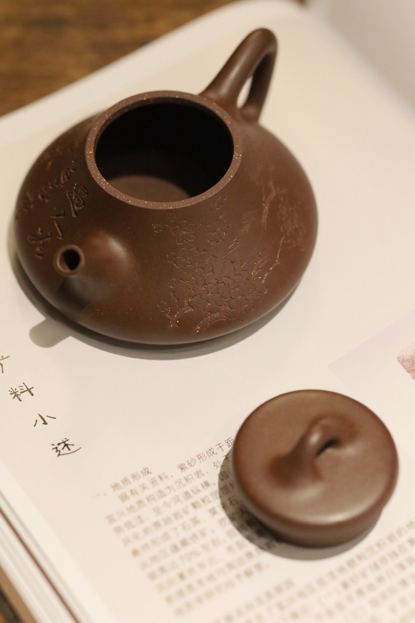 Ấm Thạch Biều Tự Dã · lão tử nê 3