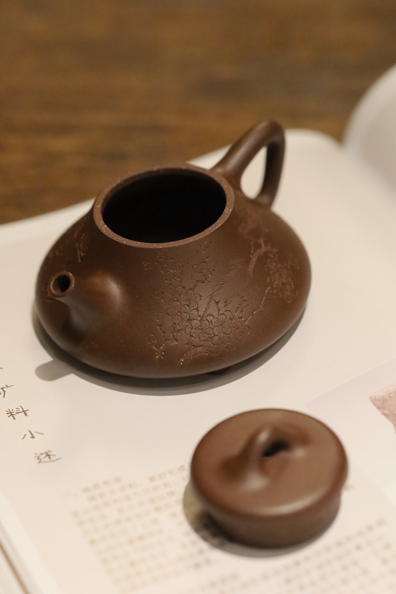 Ấm Thạch Biều Tự Dã · lão tử nê 4