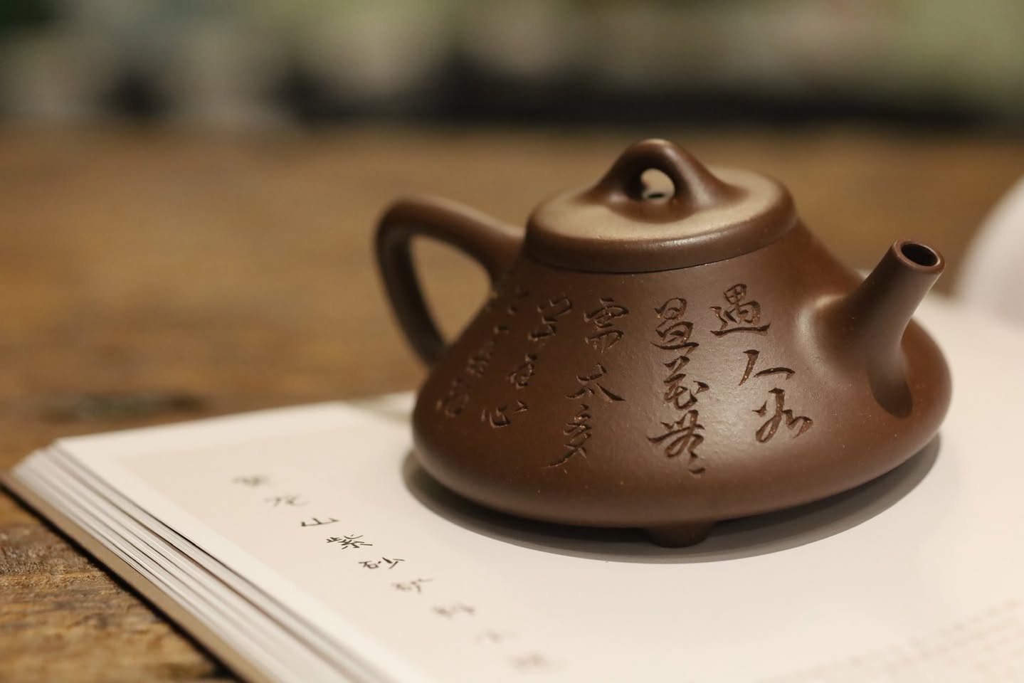 Ấm Thạch Biều Tự Dã · lão tử nê 5