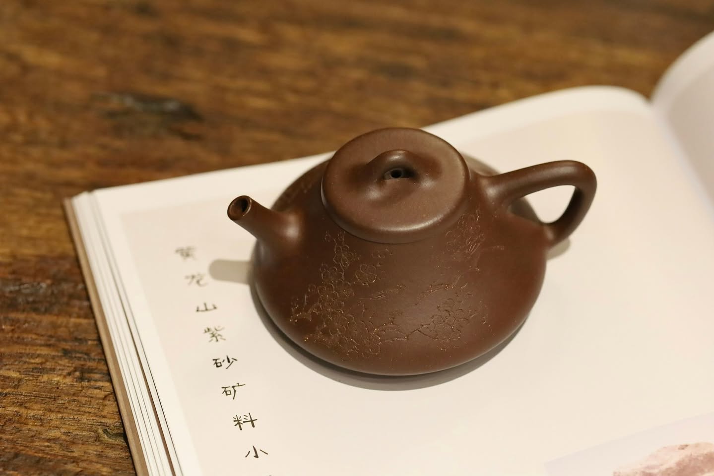 Ấm Thạch Biều Tự Dã · lão tử nê 6