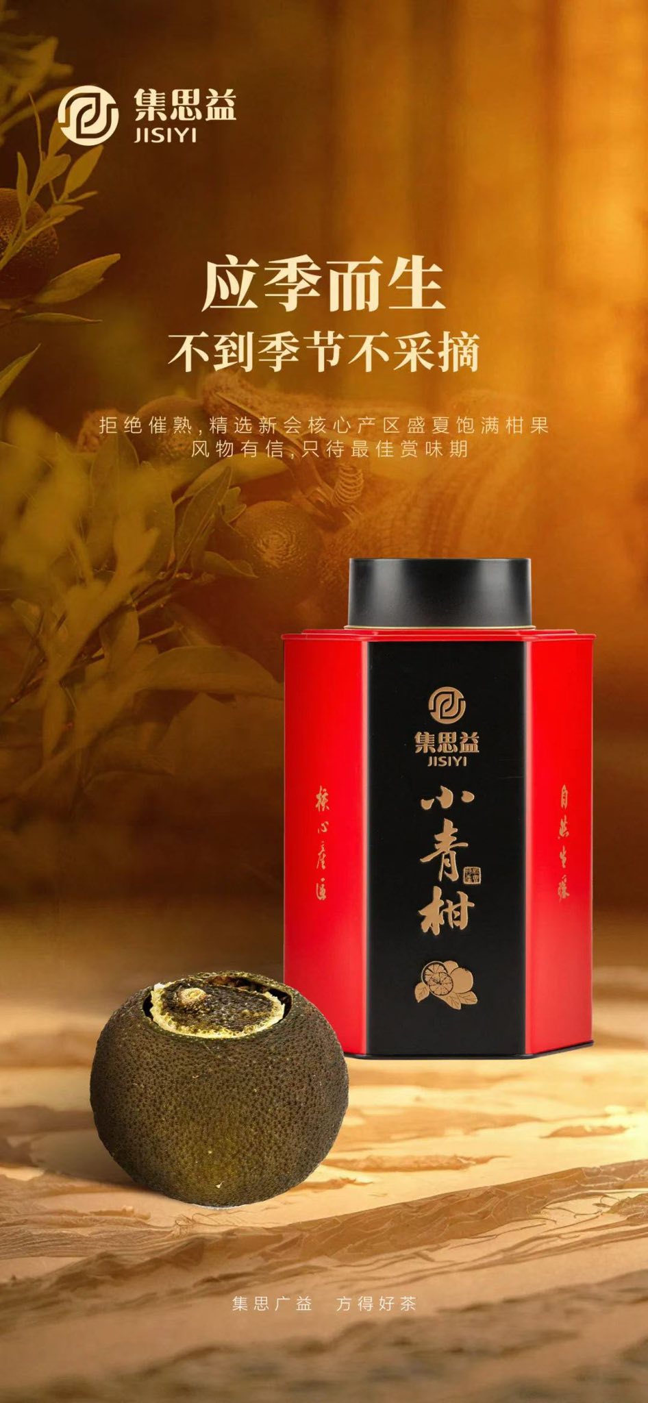 Ấm Tử Sa 5