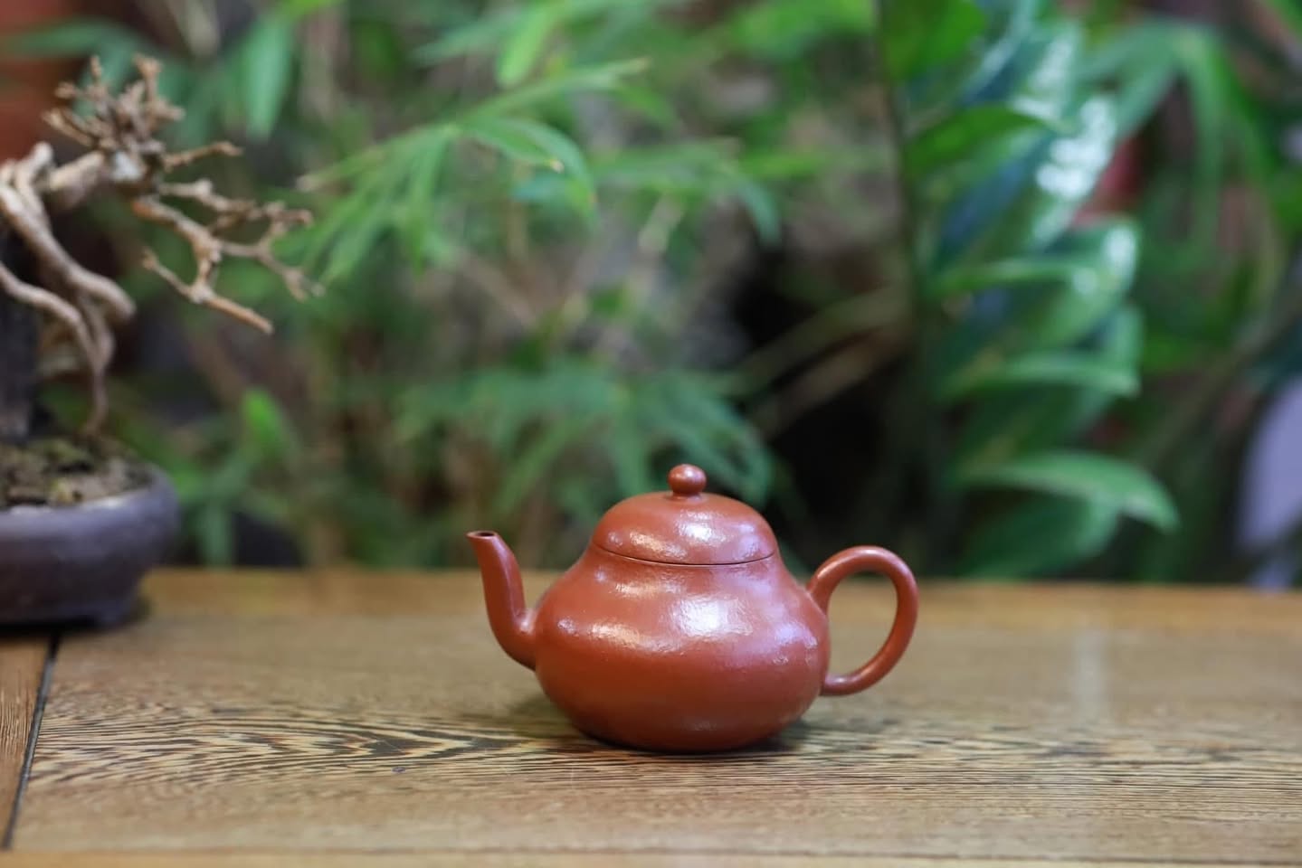 Ấm lê hình · chu nê đại hồng bào
