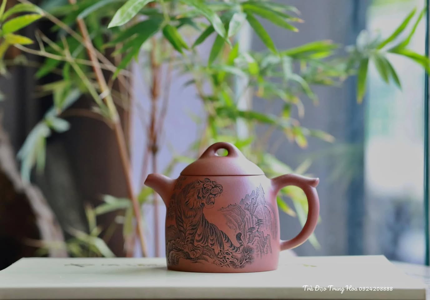Ấm Tần quyền hồ · thanh hội nê