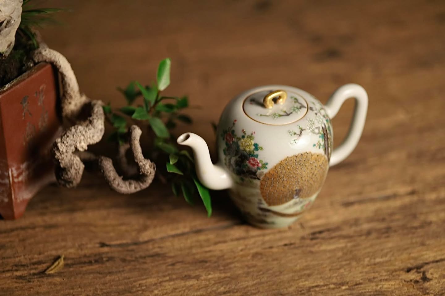 Ấm Mỹ Nhân Kiên 4