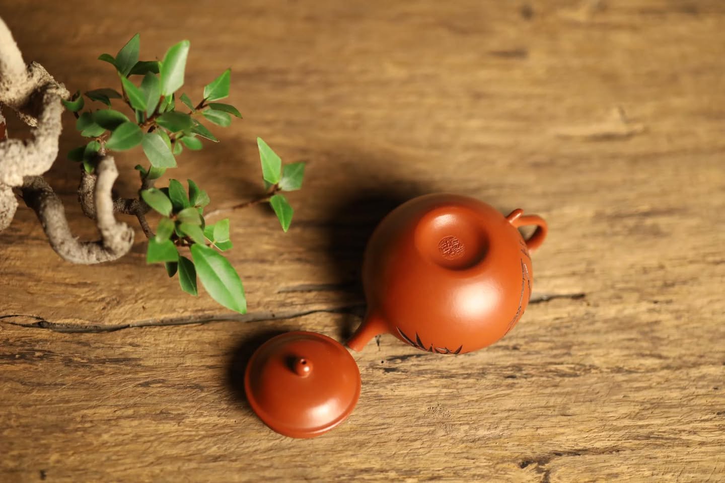 Ấm Tử Sa · Chu sa tiểu môi diêu 5