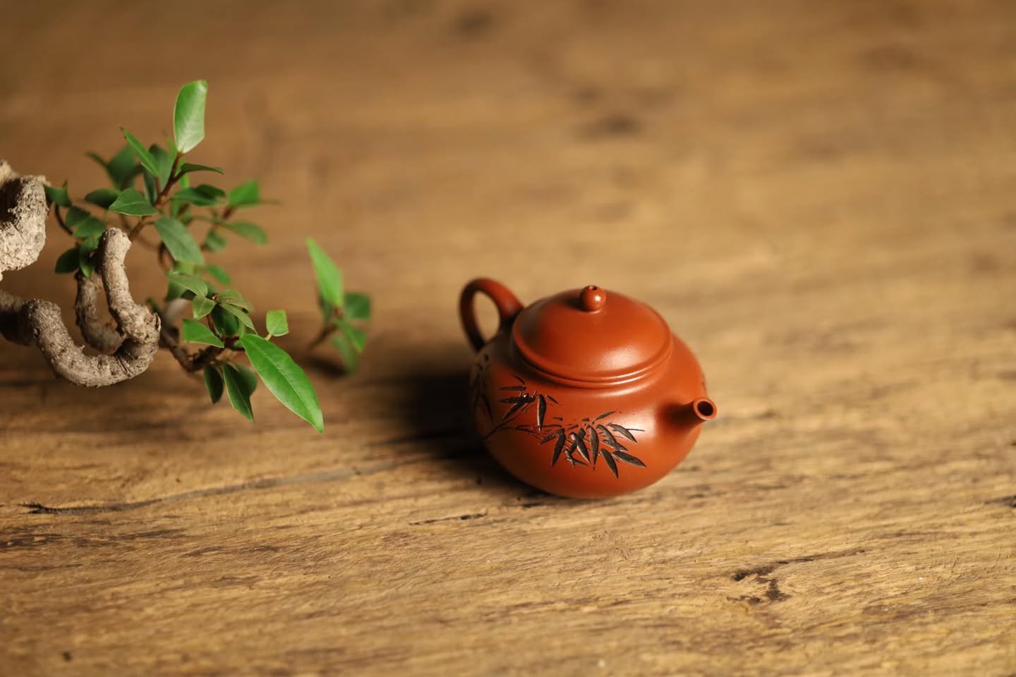 Ấm Tử Sa · Chu sa tiểu môi diêu 6