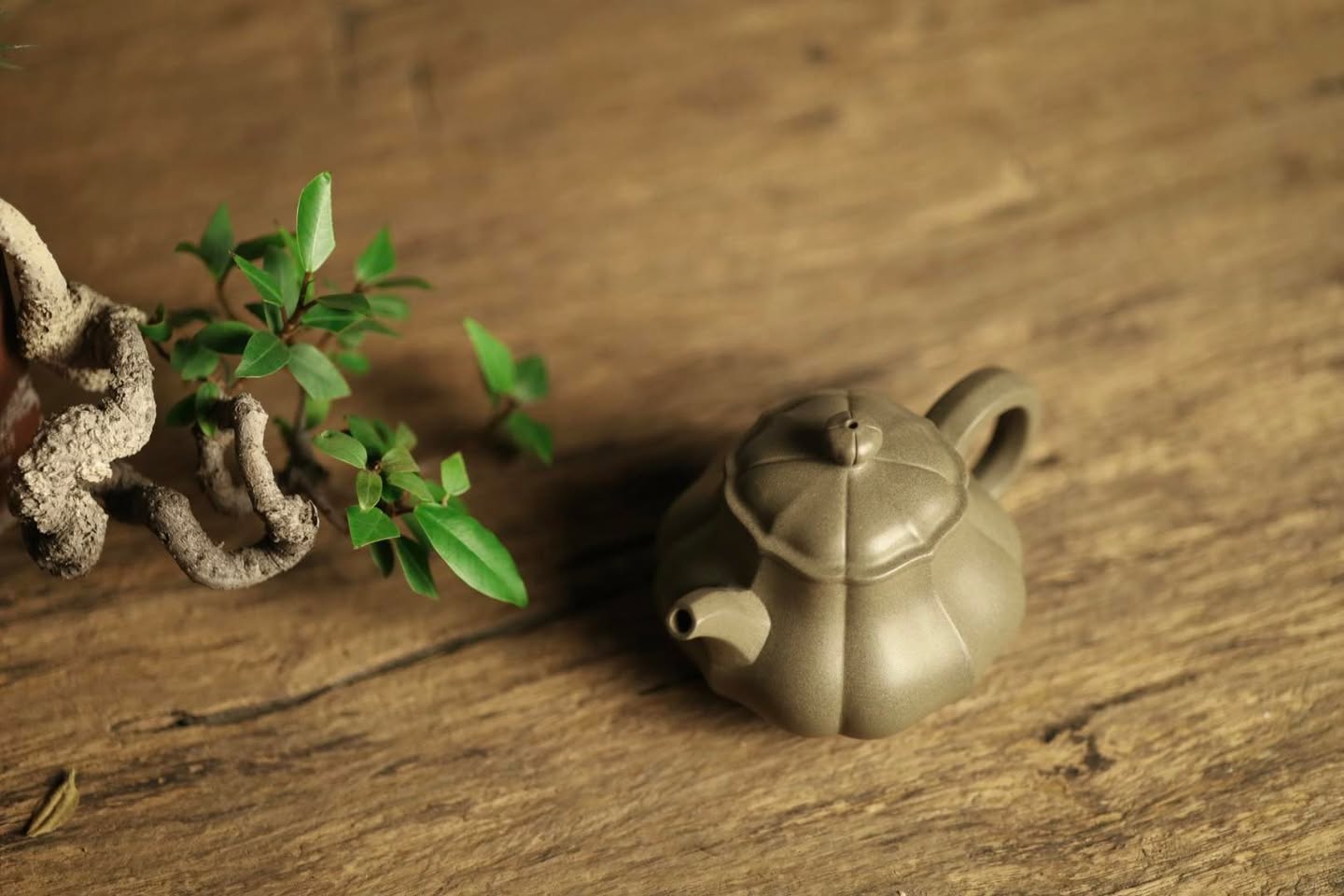 Ấm phan hồ bổ múi · đoàn sa nguyên khoáng 2