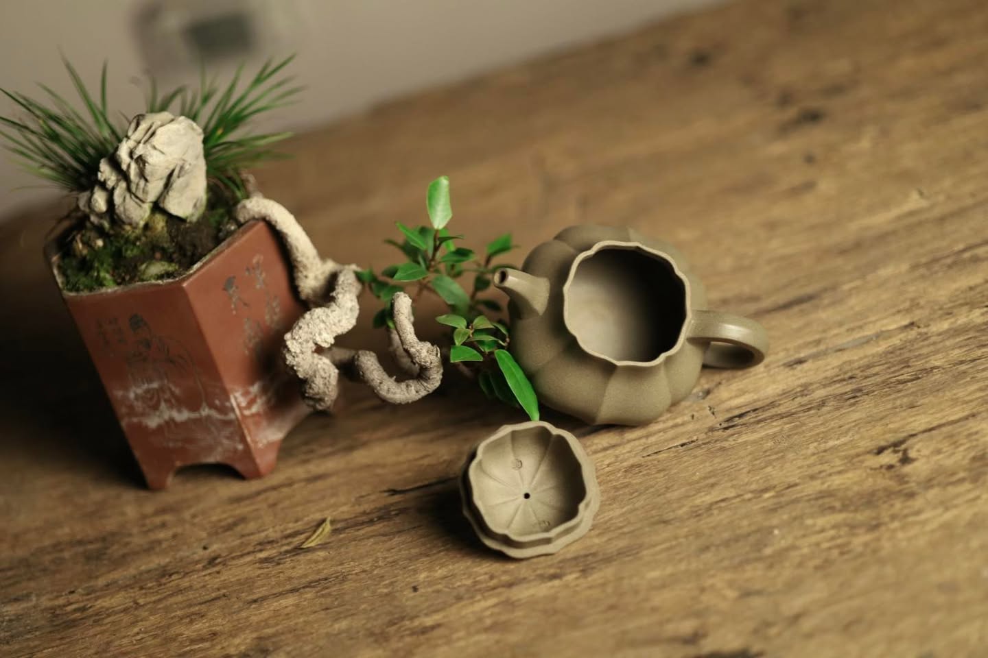 Ấm phan hồ bổ múi · đoàn sa nguyên khoáng 3