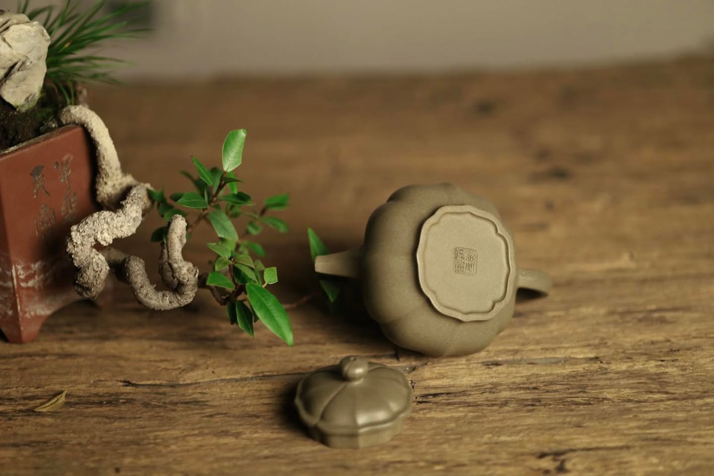 Ấm phan hồ bổ múi · đoàn sa nguyên khoáng 4