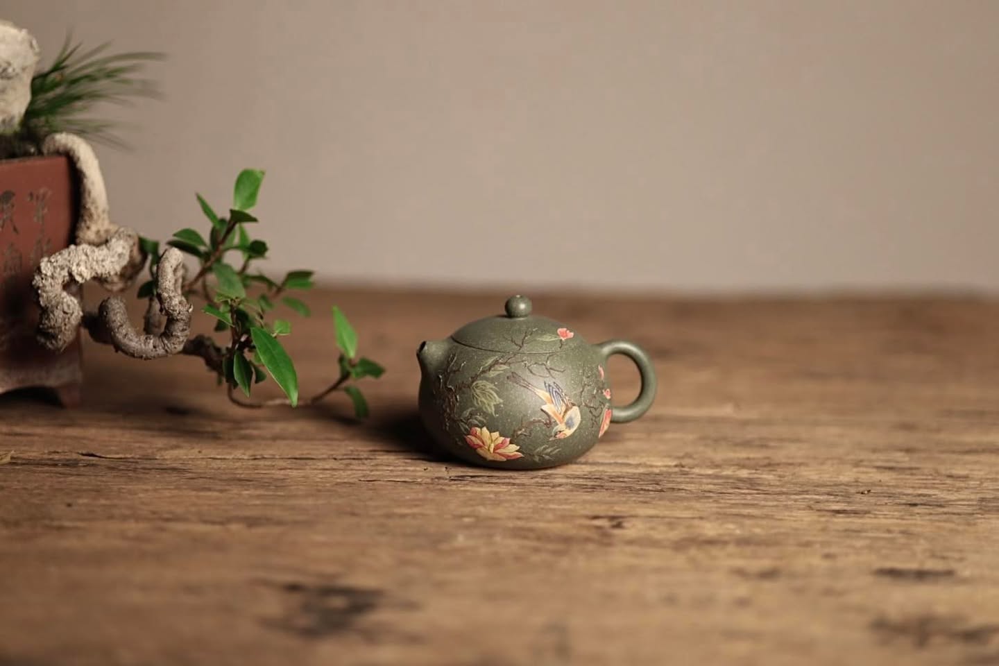 Ấm Tây Thi · Lục sa + đoàn cộng sinh