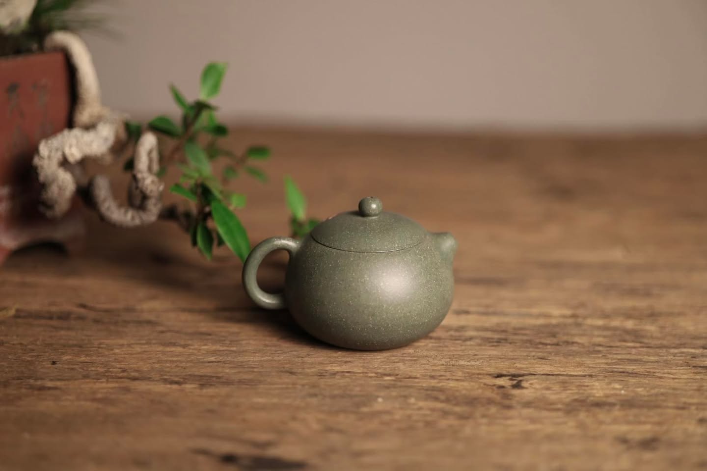 Ấm Tây Thi · Lục sa + đoàn cộng sinh 2