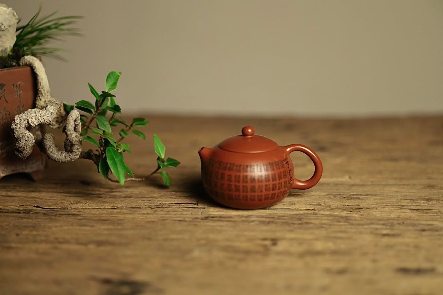 Ấm Tây Thi · chu sa tiểu môi diêu