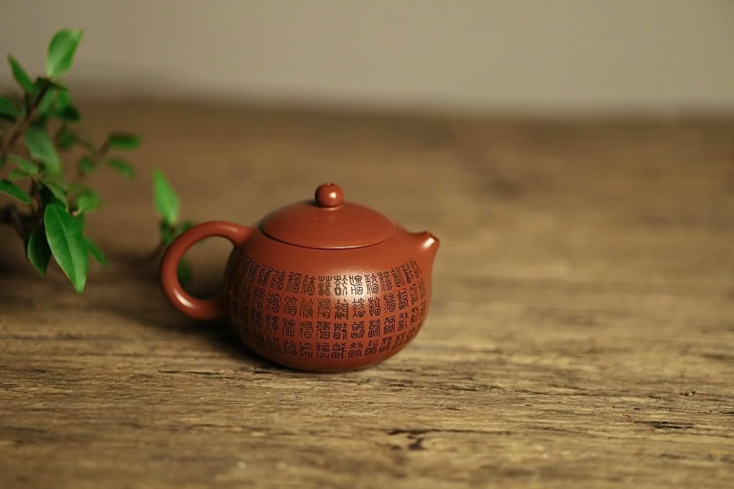 Ấm Tây Thi · chu sa tiểu môi diêu 2