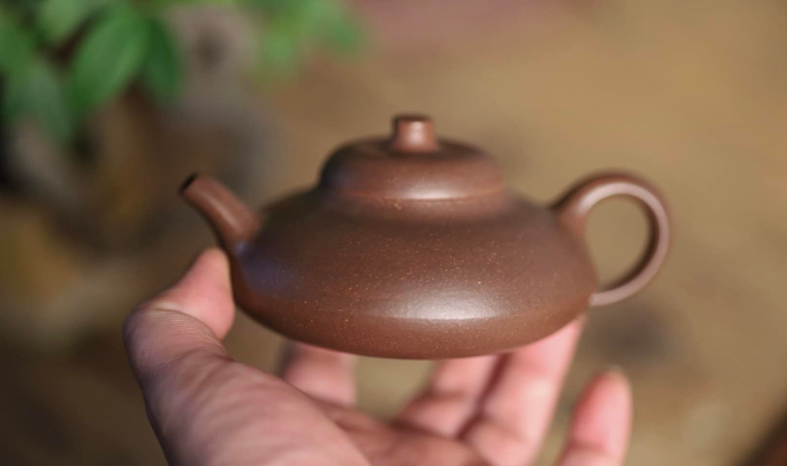 Nhũ Đỉnh Hồ 6