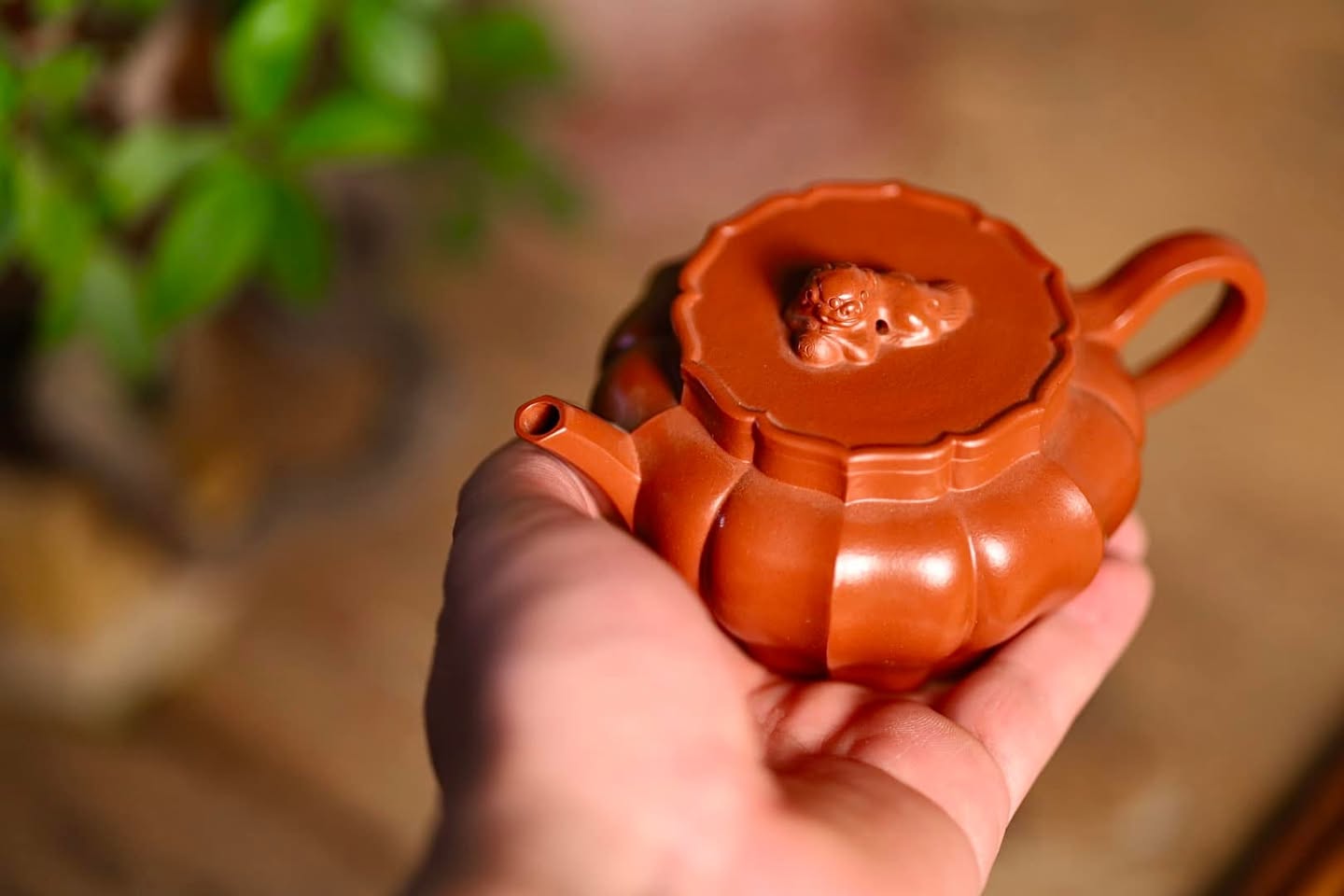 Ấm Độc Lân Toạ Sơn - Cúc Lăng Hồ · Tinh phẩm chu nê 6