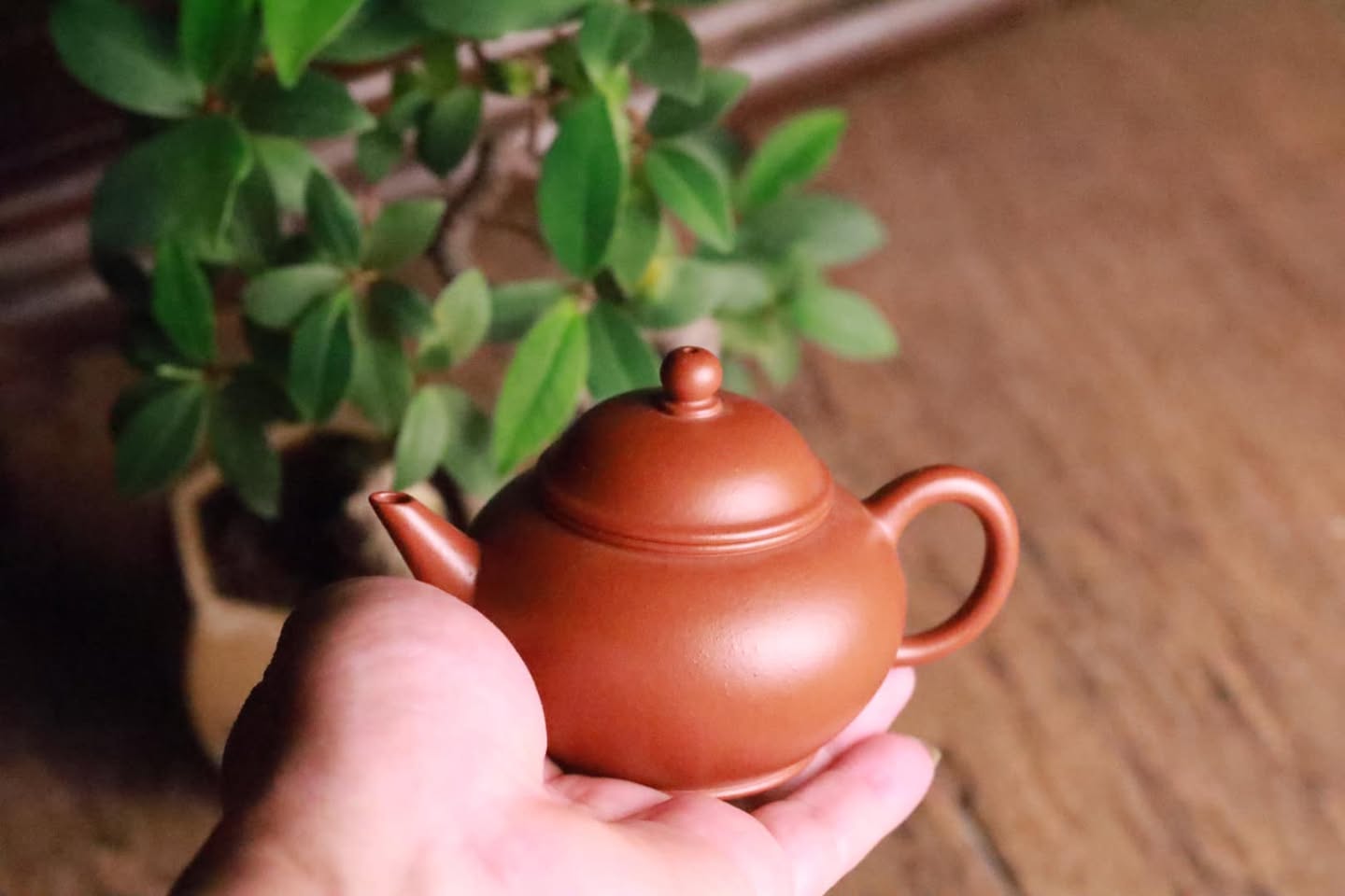 Ấm Thuỷ Bình Hồ · chu sa triệu trang 5