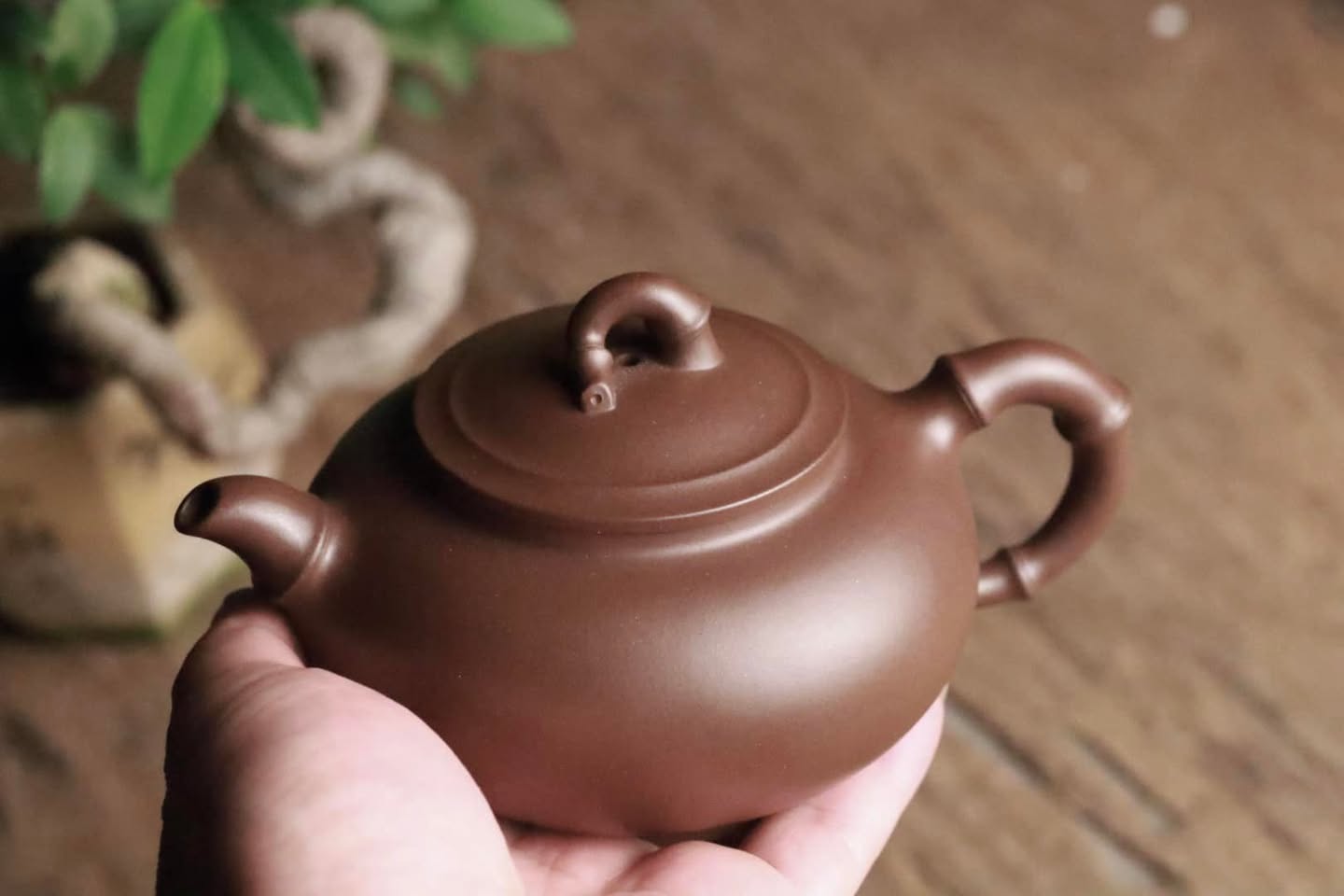 Ấm Đoạn Trúc Hồ · Văn cách nê