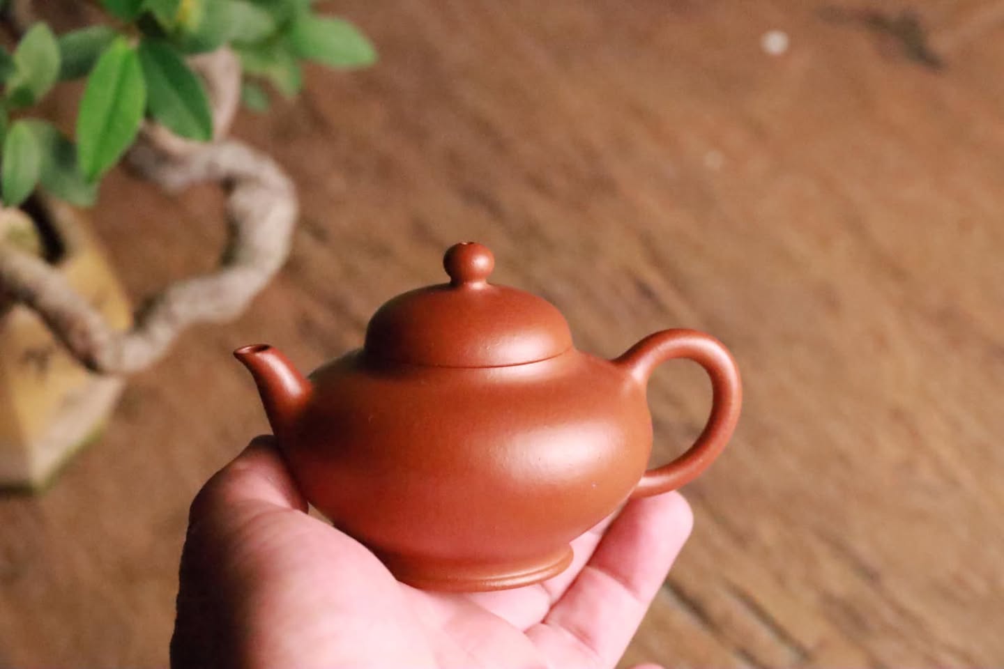 Ấm Tử Sa · chu sa triệu trang 5