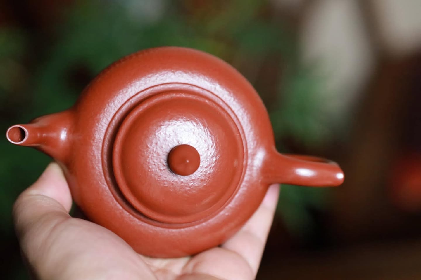 Ấm Tiếu Anh Hồ · tinh phẩm chu nê 6